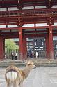 022. todai-ji